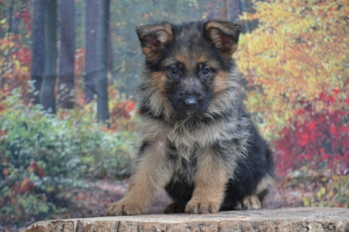 DSC_1853